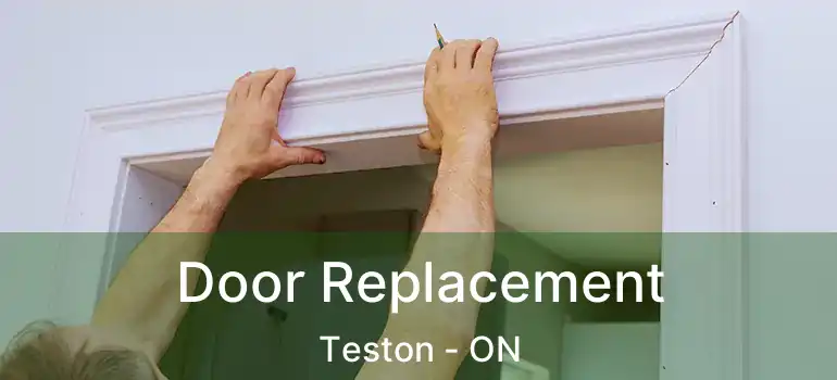  Door Replacement Teston - ON