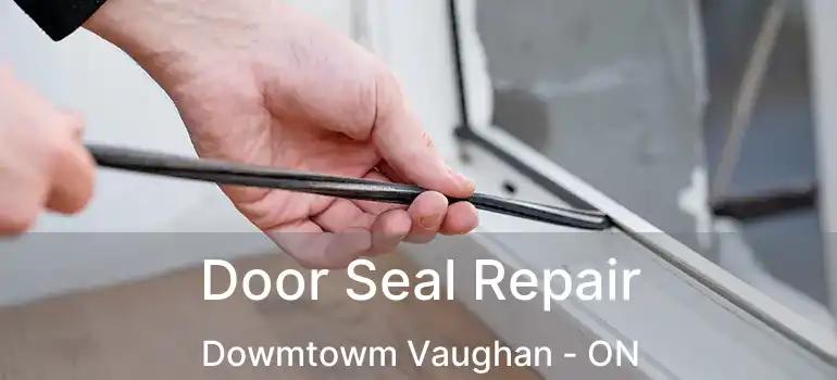 Door Seal Repair Dowmtowm Vaughan - ON
