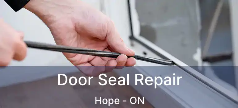  Door Seal Repair Hope - ON