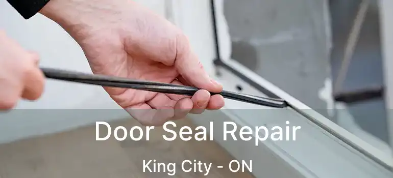  Door Seal Repair King City - ON