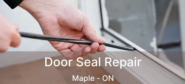  Door Seal Repair Maple - ON