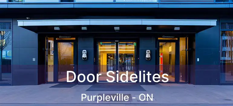 Door Sidelites Purpleville - ON