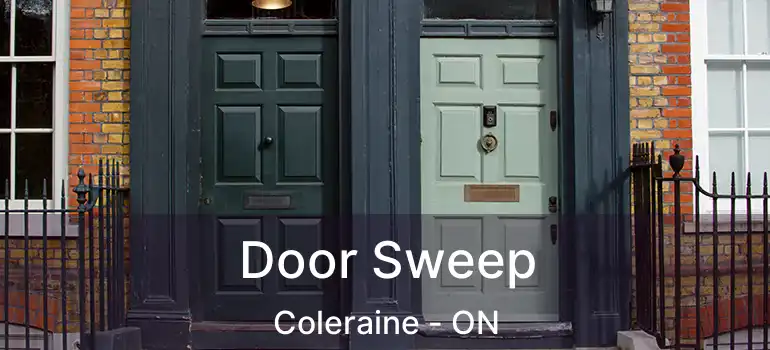 Door Sweep Coleraine - ON