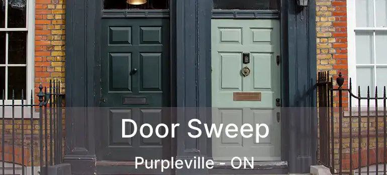 Door Sweep Purpleville - ON