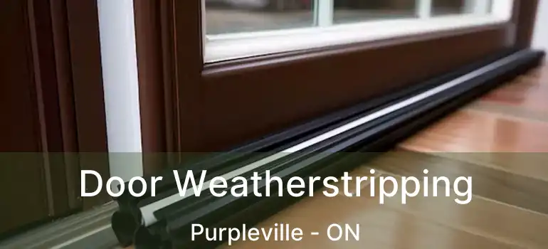 Door Weatherstripping Purpleville - ON