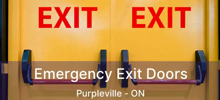  Emergency Exit Doors Purpleville - ON