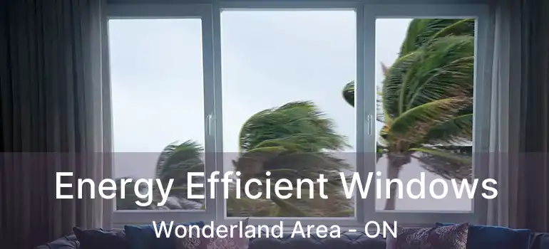  Energy Efficient Windows Wonderland Area - ON