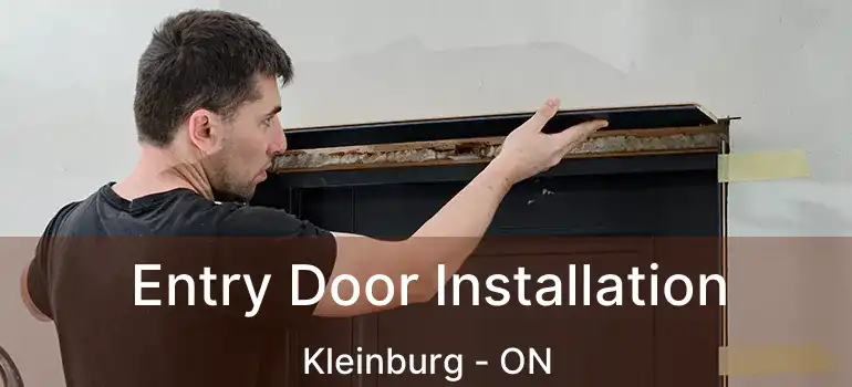  Entry Door Installation Kleinburg - ON