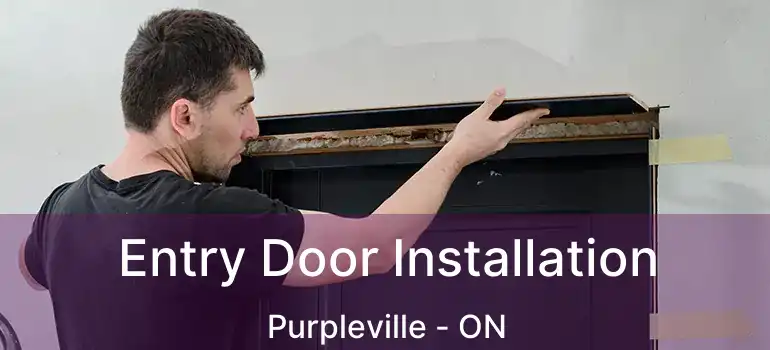  Entry Door Installation Purpleville - ON