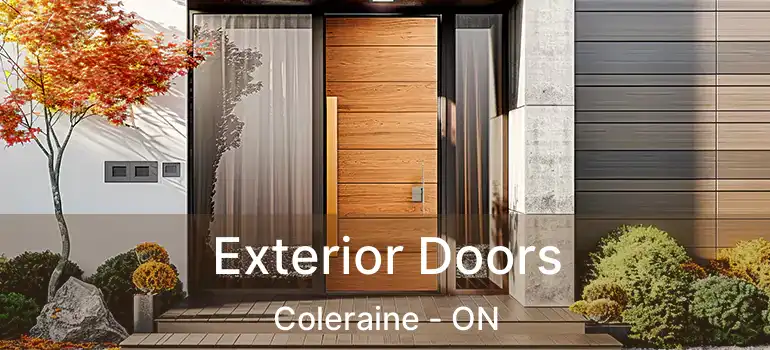 Exterior Doors Coleraine - ON