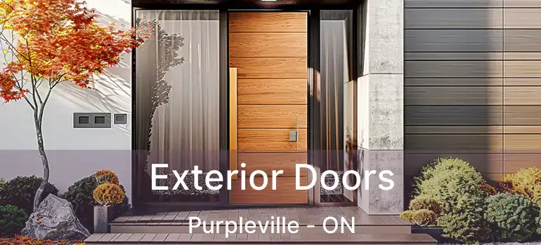  Exterior Doors Purpleville - ON