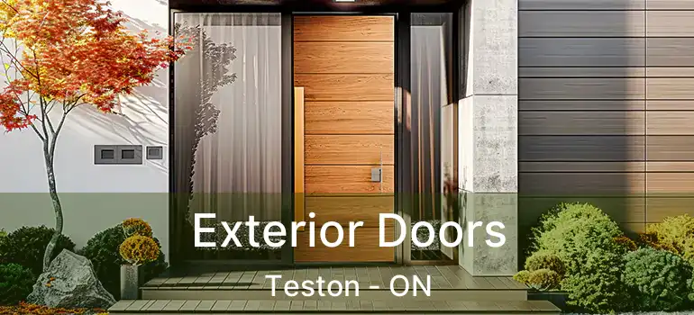  Exterior Doors Teston - ON