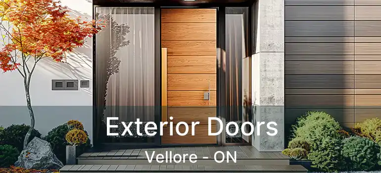  Exterior Doors Vellore - ON