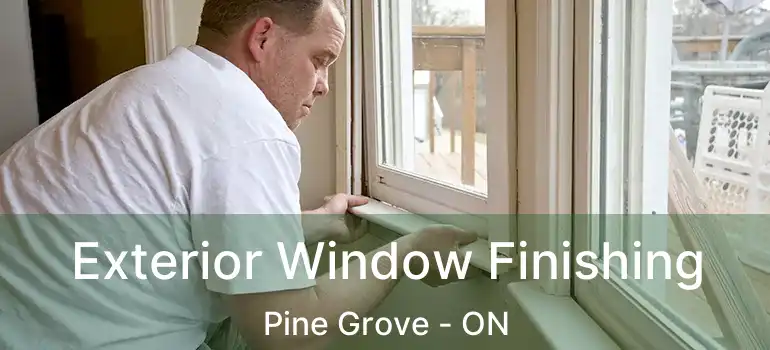 Exterior Window Finishing Pine Grove - ON