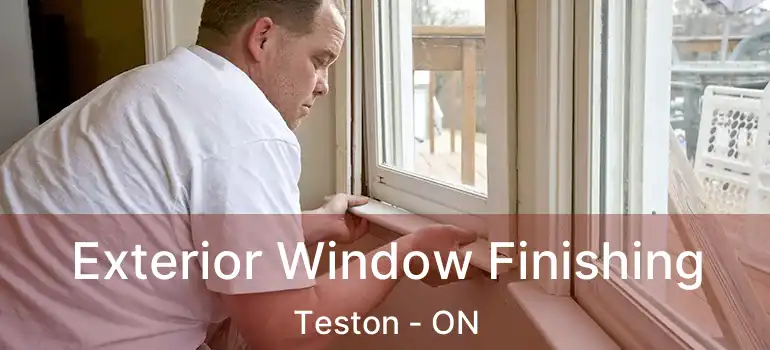 Exterior Window Finishing Teston - ON