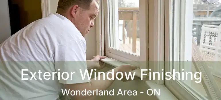  Exterior Window Finishing Wonderland Area - ON