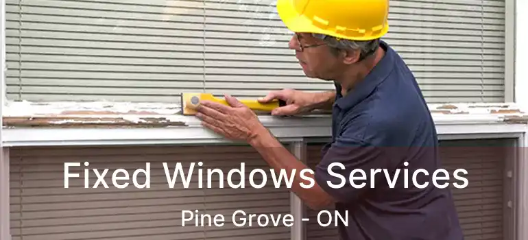  Fixed Windows Services Pine Grove - ON
