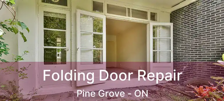 Folding Door Repair Pine Grove - ON