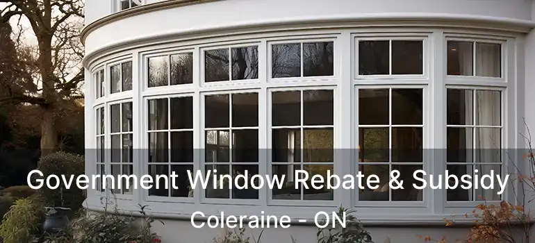 Government Window Rebate & Subsidy Coleraine - ON