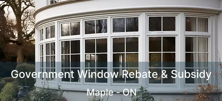  Government Window Rebate & Subsidy Maple - ON