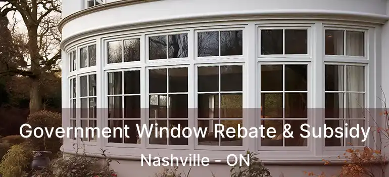 Government Window Rebate & Subsidy Nashville - ON