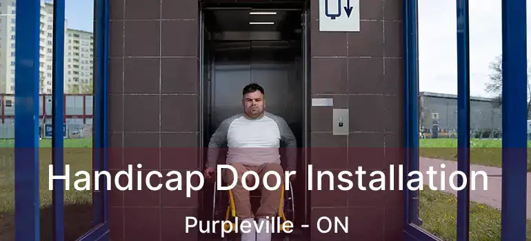  Handicap Door Installation Purpleville - ON