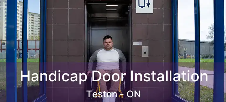  Handicap Door Installation Teston - ON