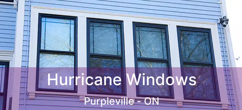 Hurricane Windows Purpleville - ON