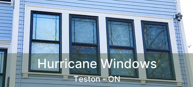  Hurricane Windows Teston - ON