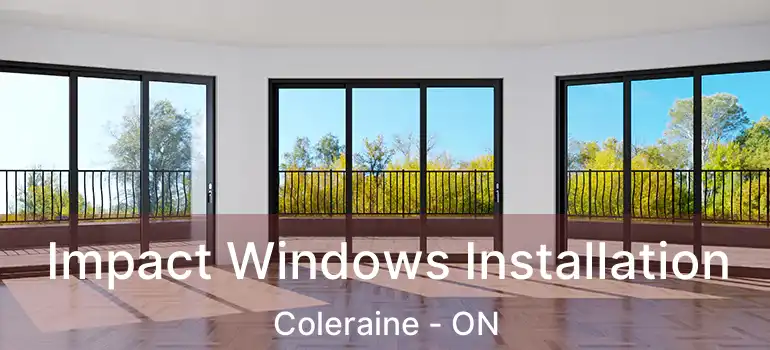  Impact Windows Installation Coleraine - ON