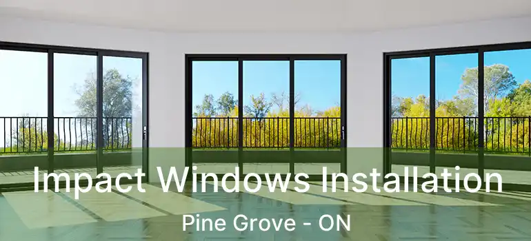  Impact Windows Installation Pine Grove - ON