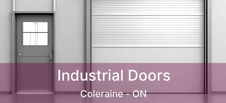  Industrial Doors Coleraine - ON