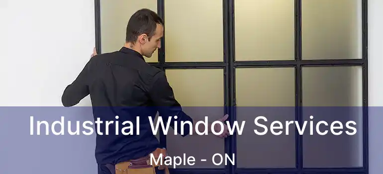  Industrial Window Services Maple - ON
