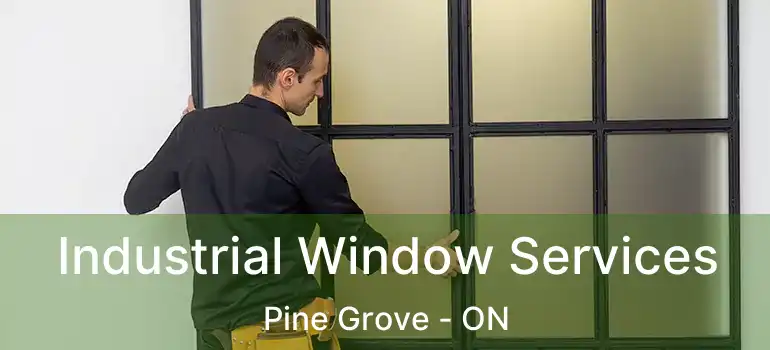  Industrial Window Services Pine Grove - ON