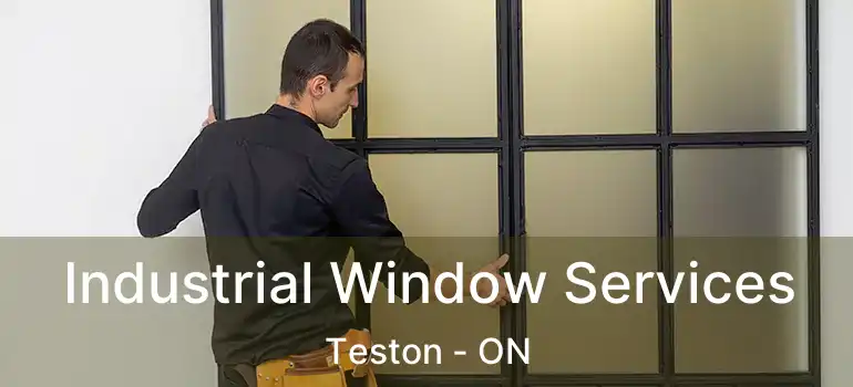  Industrial Window Services Teston - ON