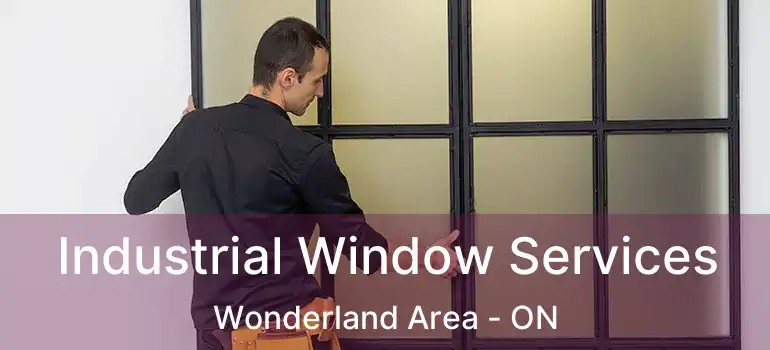  Industrial Window Services Wonderland Area - ON