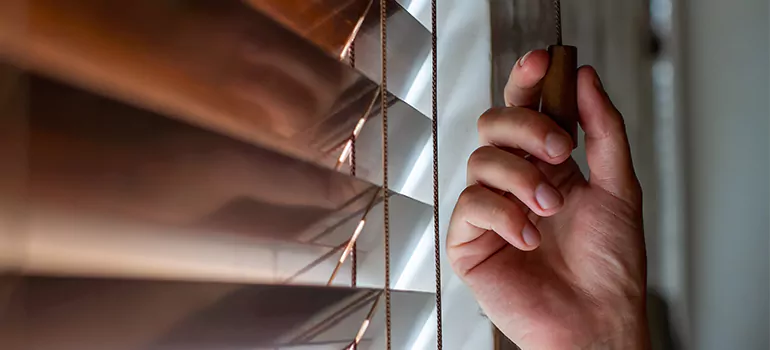 Double Roller Blinds in Vaughan, Ontario