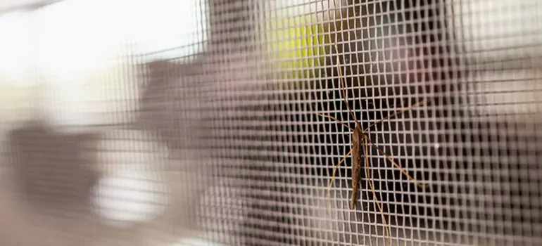 Repair Mosquito Mesh For Windows in Vaughan, Ontario