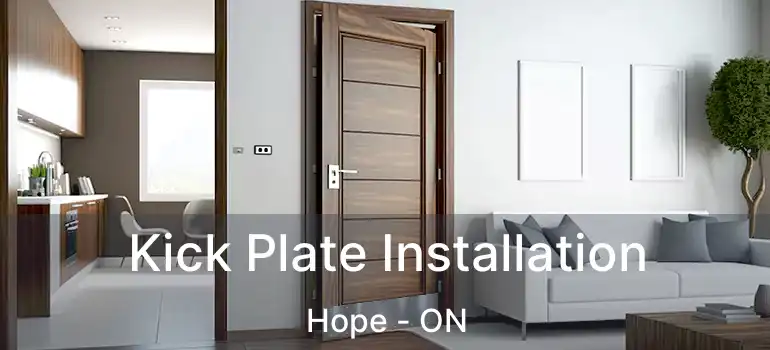  Kick Plate Installation Hope - ON