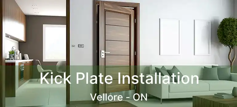  Kick Plate Installation Vellore - ON