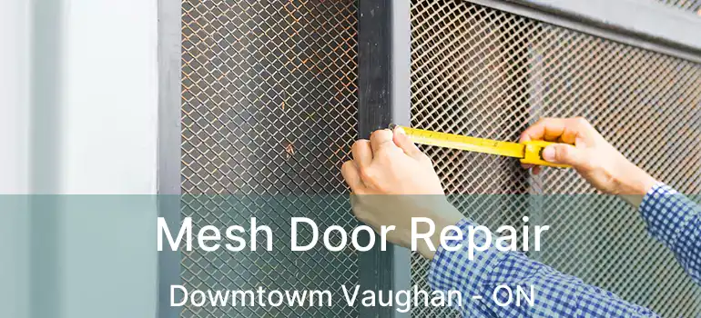 Mesh Door Repair Dowmtowm Vaughan - ON