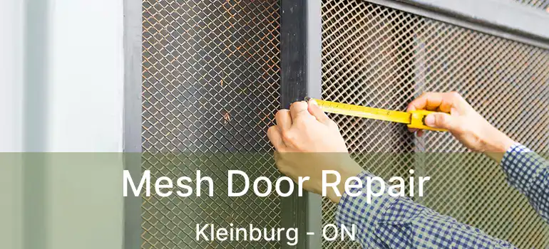 Mesh Door Repair Kleinburg - ON