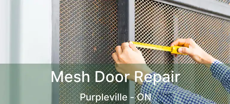  Mesh Door Repair Purpleville - ON