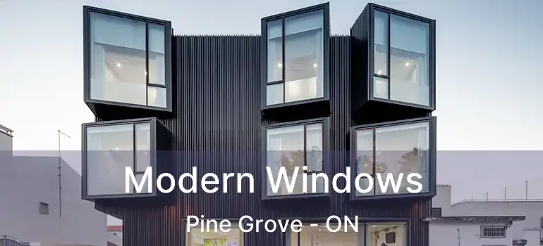  Modern Windows Pine Grove - ON