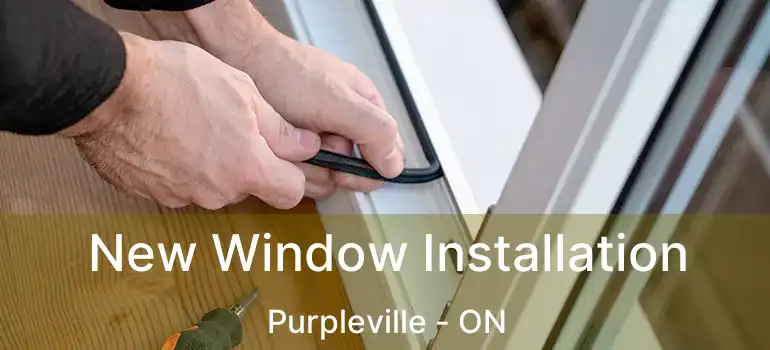  New Window Installation Purpleville - ON