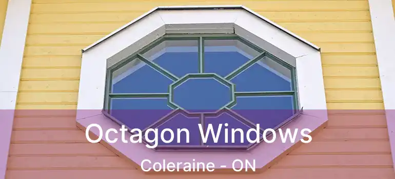 Octagon Windows Coleraine - ON