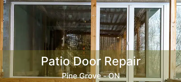 Patio Door Repair Pine Grove - ON