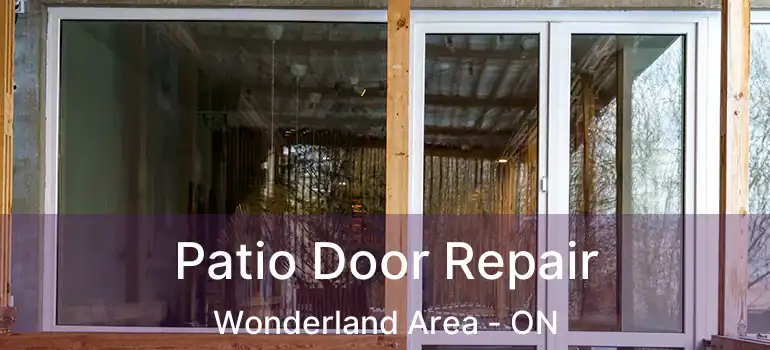 Patio Door Repair Wonderland Area - ON