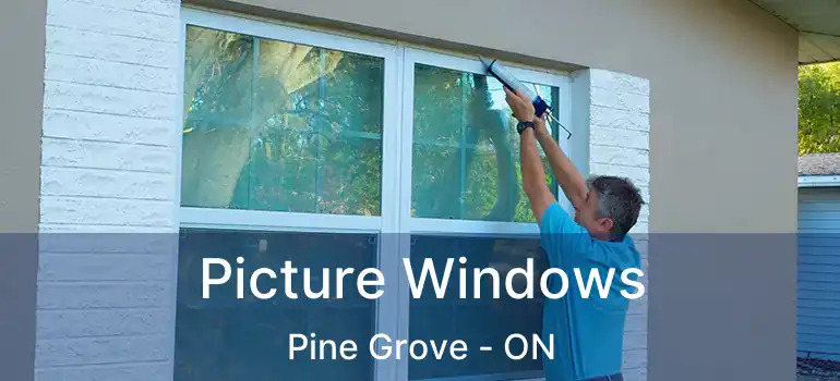 Picture Windows Pine Grove - ON