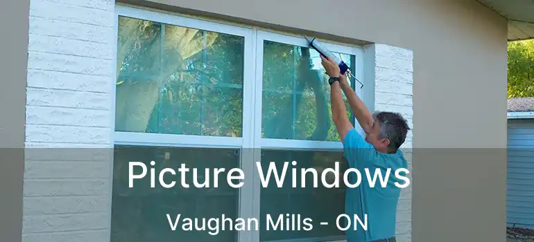  Picture Windows Vaughan Mills - ON